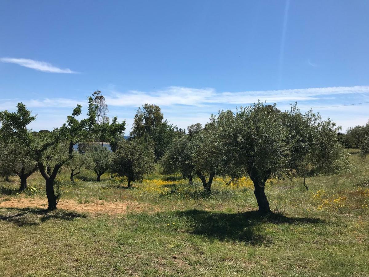 Villa Sa Curcurica Orosei